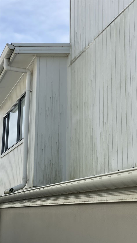 driveway cleaning-comparison-3